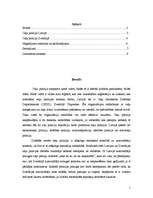 Referāts 'Latvijas un Zviedrijas ceļu policijas darbības salīdzinošie aspekti', 2.