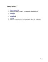 Referāts 'Latvijas un Zviedrijas ceļu policijas darbības salīdzinošie aspekti', 9.