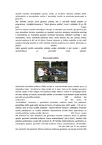 Referāts 'Maznodrošinātas ģimenes', 2.