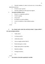 Diplomdarbs 'Personāla motivācijas sistēmas analīze un pilnveidošana VSIA "Latvijas Koncerti"', 73.