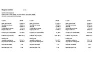 Biznesa plāns 'Biznesa plāns peintbola laukuma "Rebounce" izveidei', 28.