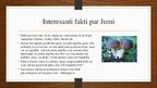 Prezentācija 'Jumis', 9.