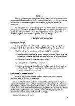 Referāts 'Inflācija', 4.