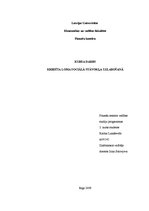 Referāts 'Kredīta loma sociālā stāvokļa uzlabošanā', 1.