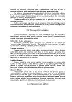 Referāts 'SIA "Kesko Food" tirgus izpēte', 5.