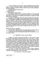 Referāts 'SIA "Kesko Food" tirgus izpēte', 6.