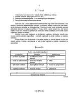 Referāts 'SIA "Kesko Food" tirgus izpēte', 9.