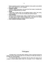 Referāts 'SIA "Kesko Food" tirgus izpēte', 21.