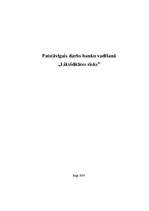 Konspekts 'Likviditātes risks', 1.