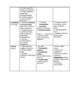 Konspekts 'Politiskie režīmi 20.gadsimta sākumā', 2.