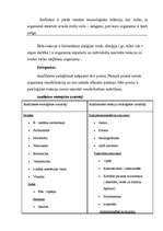 Referāts 'Anafilaktiskais šoks', 1.