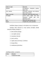 Referāts 'Anafilaktiskais šoks', 3.