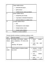 Referāts 'Anafilaktiskais šoks', 4.