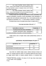 Diplomdarbs 'Nodokļu sistēma Latvijas Republikā', 33.