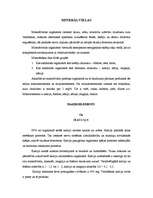 Referāts 'Minerālvielas', 1.