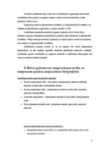 Paraugs 'Kursa darbs inženierģeodēzijā', 6.