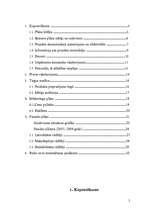 Biznesa plāns 'Biznesa plāns', 2.