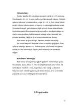 Biznesa plāns 'Biznesa plāns', 15.