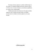 Biznesa plāns 'Biznesa plāns', 17.