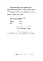 Biznesa plāns 'Biznesa plāns', 29.