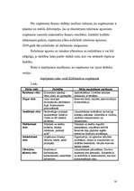 Biznesa plāns 'Biznesa plāns', 30.