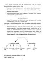 Referāts 'Brīvās ekonomiskās zonas', 3.