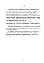 Referāts 'Vadītāja loma uzņēmuma darbības efektivitātes nodrošināšanai', 3.