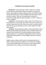 Referāts 'Vadītāja loma uzņēmuma darbības efektivitātes nodrošināšanai', 4.