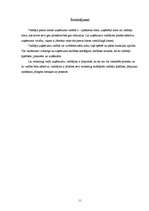 Referāts 'Vadītāja loma uzņēmuma darbības efektivitātes nodrošināšanai', 11.