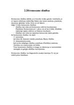 Konspekts 'Pedagoģiskais plāns', 6.