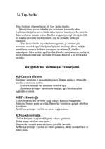 Konspekts 'Pedagoģiskais plāns', 8.