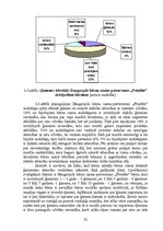 Referāts 'Bērnu bāreņu sociālā aizsardzība un sociālā adaptācija patversmē', 32.