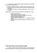 Referāts 'Darbinieku motivācijas politikas analīze', 20.