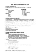 Konspekts 'Britu kūrortu stratēģija un rīcības plāns', 1.