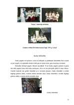 Referāts 'Balvu rajona Susāju pagasta tūrisma resursu analīze un iespējamā tūrisma produkt', 13.