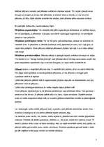 Eseja 'Kvalitatīvo pētījumu metodes: līdzdalības novērojums', 3.