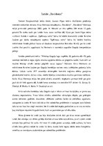 Eseja 'Izrāde "Revidents"', 1.