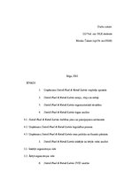 Referāts 'Uznēmuma SIA "Statoil Fuel & Retail Latvia" stratēģija un vadīšana', 2.