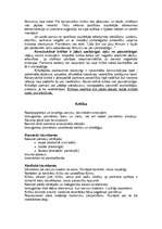 Referāts 'Kritika un tās uzdevumi', 4.