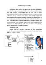 Referāts 'Referentās grupas kā patērētāju uzvedību ietekmējošs faktors', 5.