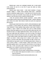 Referāts 'Referentās grupas kā patērētāju uzvedību ietekmējošs faktors', 10.