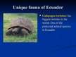 Prezentācija 'Ecuador', 8.