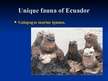 Prezentācija 'Ecuador', 9.