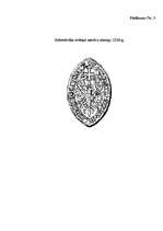 Referāts 'Hanzas savienība. Livonijas pilsētas Hanzas savienībā', 3.