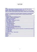 Referāts 'Nacionālās skolas iezīmes Rīgas jūgendstila ornamentu estētikā', 2.