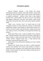 Referāts 'Nacionālās skolas iezīmes Rīgas jūgendstila ornamentu estētikā', 5.