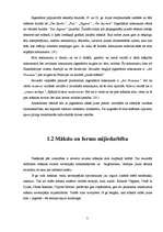 Referāts 'Nacionālās skolas iezīmes Rīgas jūgendstila ornamentu estētikā', 7.