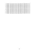 Referāts 'Nacionālās skolas iezīmes Rīgas jūgendstila ornamentu estētikā', 29.