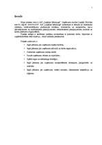 Prakses atskaite 'Prakses atskaite A/S "Liepājas Metalurgs"', 1.