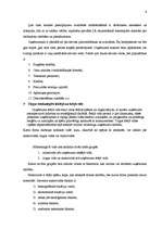 Prakses atskaite 'Prakses atskaite A/S "Liepājas Metalurgs"', 6.